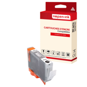 1 ENCRE pour CANON CLI65GY Gris