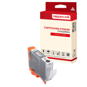 1 ENCRE pour CANON CLI65LGY Gris Light