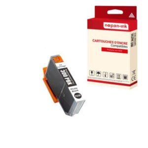 Cartouche compatible pour CANON PFI300 PFI 300 4193C001 Photo Noir x 1 - NOPAN-