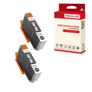 Cartouche compatible pour CANON PFI300 PFI 300 4193C001 Photo Noir x 2 - NOPAN-