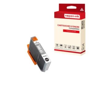 Cartouche compatible pour CANON PFI300 PFI 300 4200C001 Gris x 1 - NOPAN-INK po