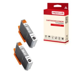 Cartouche compatible pour CANON PFI300 PFI 300 4200C001 Gris x 2 - NOPAN-INK po