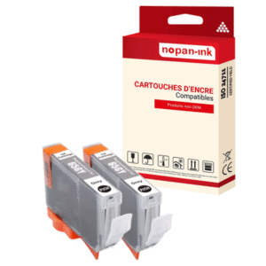 2 ENCRE pour CANON CLI65GY2 Gris
